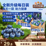 三只松鼠每日蓝莓干256g/16包 无添加水果干果脯小包装儿童老人办公室零食