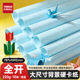 天章 （TANGO）彩色卡纸全开220g浅蓝色加厚大尺寸海报纸787*1092家长会节日活动背景儿童绘画手工硬卡纸10张