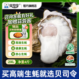 贝司令鲜活乳山生态生蚝2XL 净重4斤 13-17只生鲜源头直发端午聚会