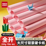 天章 （TANGO）彩色卡纸全开220g浅粉红色加厚大尺寸海报纸787*1092儿童绘画手工硬卡纸10张新绿天章P90068