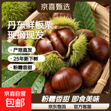 【秋果之王】26年丹东新鲜板栗现摘现发粉糯香甜蔬菜水果 丹东板栗 5斤