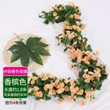 盛世泰堡 仿真玫瑰塑料花藤装饰花假花绿植装饰空调管道布置 69头香槟色