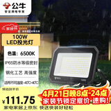公牛（BULL）LED投光灯户外庭院工厂园林灯露营灯 IP65防水等级100W-6500K白光