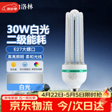 洛林（ROLin）led灯泡节能灯泡 e27大螺口家用商用大功率光源 30W白光