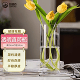 吕姆克玻璃花瓶水养插花瓶水培富贵竹客厅520摆件透明直筒款25cm5517