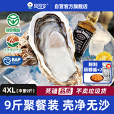 贝司令鲜活乳山生态生蚝4XL 净重9斤 17-23只 生鲜源头直发露营聚会