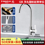 欧琳（OULIN） 厨房水龙头冷热洗菜盆水龙头 优铜冷热水龙头水槽台上盆水龙头 【升级加高】铜龙头9501