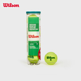 Wilson威尔胜训练网球儿童青少年专用网球STARTER PLAY BALLS WRT137400