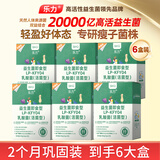 乐力SIIHO益生菌成人塑身减通调肠胃道排油消化燃脂虚弱便2个月6盒装
