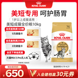 皇家美短成猫粮 ASA31 通用粮 12月以上 10KG