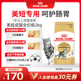皇家猫粮 美短成猫粮 ASA31 通用粮 12月以上 2KG