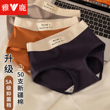 雅鹿4条内裤女士纯棉档无痕抗菌少女生运动短裤大码性感秋冬三角裤 【黑色+灰色+橙色+深蓝】 4条 L 建议100-125斤