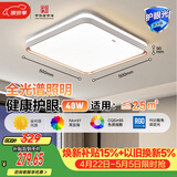 佛山照明客厅吸顶灯简约现代方形书房LED照明灯48W宇汐