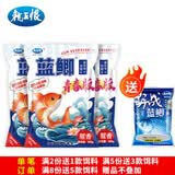 龙王恨鱼饵蓝鲫X5青春版腥香饵江河黑坑野钓鲫鲤草鳊鱼通杀综合钓鱼饵料 蓝鲫青春版-腥香(共900g/3包)