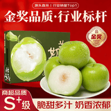 三萌果蔬福建牛奶大青枣贵妃蜜枣脆甜枣当季新鲜孕妇水果现摘送礼整箱 5斤特级果【全家畅享丨单果约60g+】净重4.5斤