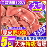 清爵大大号海肠鲜活去头去尾去内脏冷冻新鲜商用厚皮可做海肠捞饭饺子 大大号丨免处理（厚皮） 400g(净重） /2包