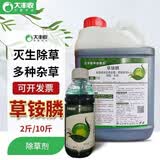 大丰收丰创惠选草铵膦除草剂农药灭生性牛筋草草胺磷果园除杂草1kg