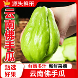 云南佛手瓜新鲜整箱丝瓜洋瓜寿瓜丰收瓜孕妇宝宝蔬菜单果200g起 1斤装