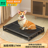 喵先生狗厕所宠物狗狗厕所小型中大型犬防踩屎泰迪金毛狗狗尿盆砂盆用品 62*45*9CM 【建议45斤内】