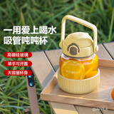 北鼎玻璃杯水杯茶水分离耐高温高硼硅玻璃吸管杯大肚杯