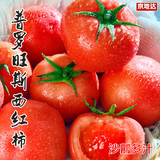 京地达山东普罗旺斯西红柿净重5斤单果100g+沙瓤老味道源头直发包邮