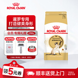 皇家猫粮 暹罗成猫全价粮  塑形呵护肠胃 12月以上猫咪主粮  SM38 【暹罗成猫SM38】2kg单包尝鲜