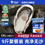 贝司令鲜活乳山生态生蚝5XL 净重9斤 14-18只 生鲜源头直发露营聚会