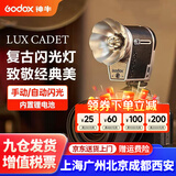 神牛（Godox） 神牛Lux CADET复古闪光灯相机单反适用佳能尼康索尼富士摄影外置户外摄影灯机顶闪光灯外接热靴灯 神牛LUX CADET复古闪光灯 官方标配