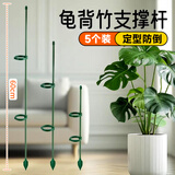 芷郁植物支撑杆花架防倒伏支架园艺吊兰月季架子绿植爬藤架 60cm5支