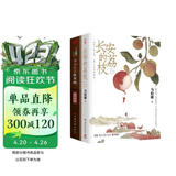 长安的荔枝 马伯庸历史短小说“见微”系列口碑新作+一看就上瘾的中国史-唐朝其实很有趣 雷佳音岳云鹏 主演 电影原著小说 全2册