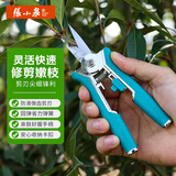 张小泉园艺剪刀修枝剪剪树枝剪刀果树剪花枝剪直剪尖头剪刀