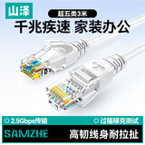 山泽 超五类网线 CAT5e类高速千兆网线 3米 工程/宽带电脑家用连接跳线 成品网线 贝吉色 ZW-03