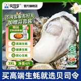 贝司令鲜活乳山生态生蚝3XL 净重4斤 10-15只 生鲜源头直发露营聚会