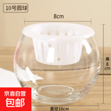 轻奢简约玻璃花瓶水培养鱼圆球龙蛋方缸客厅桌面摆件简约玻璃花瓶 10圆球+定植篮+吸水绳