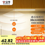 公牛（BULL）感应橱柜灯衣柜灯LED人感光感磁吸 卧室床沿玄关小夜灯30CM4000K