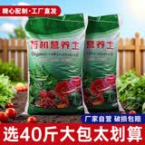 花相邻【全国本省发货】通用型营养土种菜花土种花养花土种植泥土多肉土 10斤有机营养土【混生根粉多菌灵】