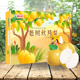 青青大地莱阳秋月梨山东秋月冰糖梨净重6斤送礼礼盒 产地直发新鲜水果礼盒 秋月冰糖梨礼盒装6斤6粒