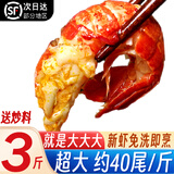 北极滩特大龙虾尾冷冻生鲜大特级湖北海鲜虾类麻辣虾球烧烤食材年货 【大特级】3斤 送秘料 固形物≥53%