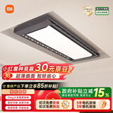 米家智能晾衣机Pro 【国家补贴】小米电动晾衣架超薄嵌入隐藏遥控升降