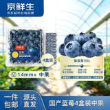 京鲜生 云南蓝莓 4盒 14mm+ 100g/盒 生鲜水果 源头直发