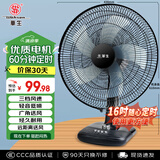 华生（Wahson）电风扇/台扇/低音风扇/16吋大风量家用办公电扇交流定频风扇 WS-A1603A