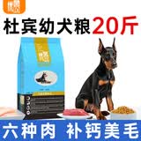 优佰狗粮10kg成犬幼犬藏獒杜宾古牧喜乐蒂大白熊罗威纳大型犬专用 杜宾幼犬粮20斤（10斤*2袋）