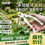 安赛瑞 修枝剪刀果树剪园艺剪 盆栽剪花卉工具园林绿植剪刀花艺 5J00326