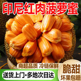 传世明珠印尼红肉菠萝蜜当季新鲜水果整个带皮树上熟波罗蜜干包脆甜JD顺丰 一整个10-11斤红肉菠萝蜜+刀和手套