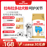 皇家狗粮 拉布拉多幼犬狗粮 宠物大型犬 ALR33 全价犬粮 2-15月 3KG