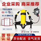 /泰尔格正压式空气呼吸器6L钢质气瓶消防自给式呼吸器全面罩（带气）整套