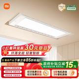 米家智能晾衣机Pro月光白 【国家补贴】小米电动隐形晾衣架超薄嵌入