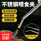 宠物镊子组织镊有钩无钩有牙齿无齿直头弯头 铁镀锌镊子1个10cm