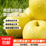 山东烟台黄金奶油富士苹果脆甜冰糖心很像维纳斯苹果 带箱2斤