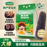 华田禾邦【大棒6根】东北黑紫糯玉米2.4~3斤 新鲜甜黏玉米 早餐苞米 烧烤